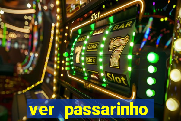 ver passarinho morto significado espiritual